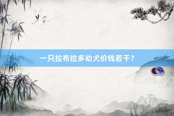 一只拉布拉多幼犬价钱若干？