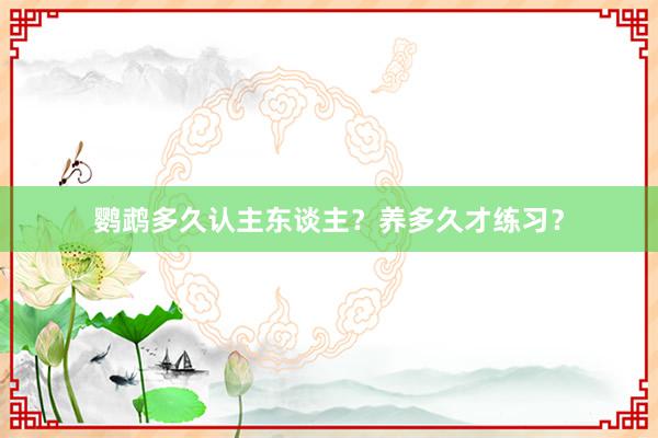 鹦鹉多久认主东谈主？养多久才练习？