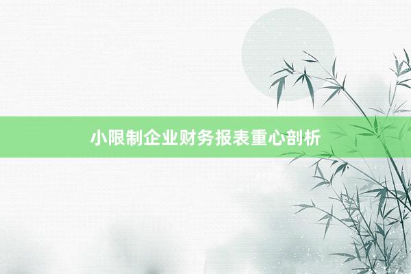 小限制企业财务报表重心剖析